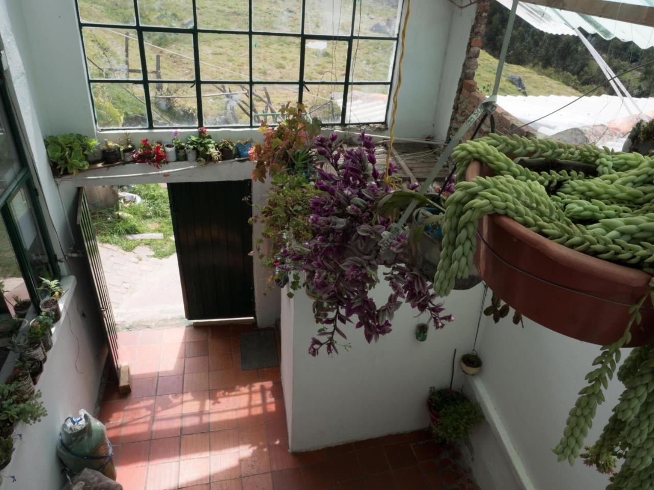 Hospedaje Bella Vista 몬구이 외부 사진