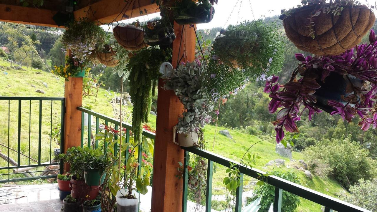 Hospedaje Bella Vista 몬구이 외부 사진